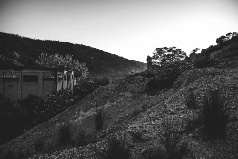 some trees on a hill near the mountains