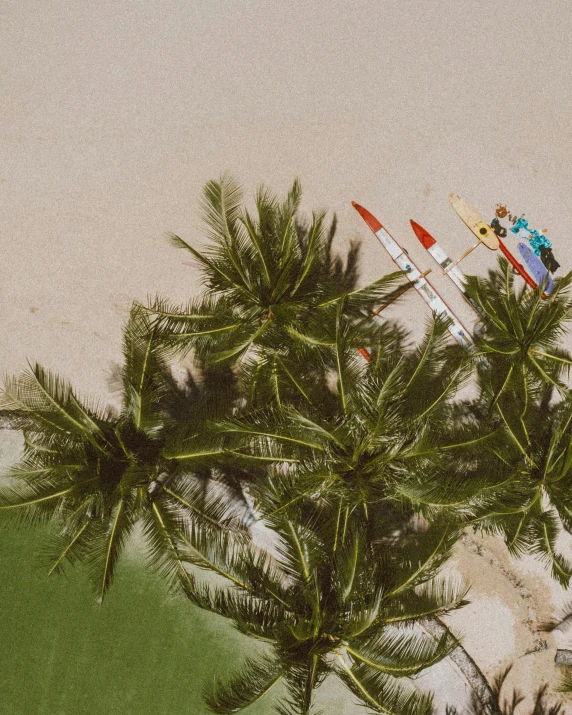 two airplanes flying high above palm trees and sand