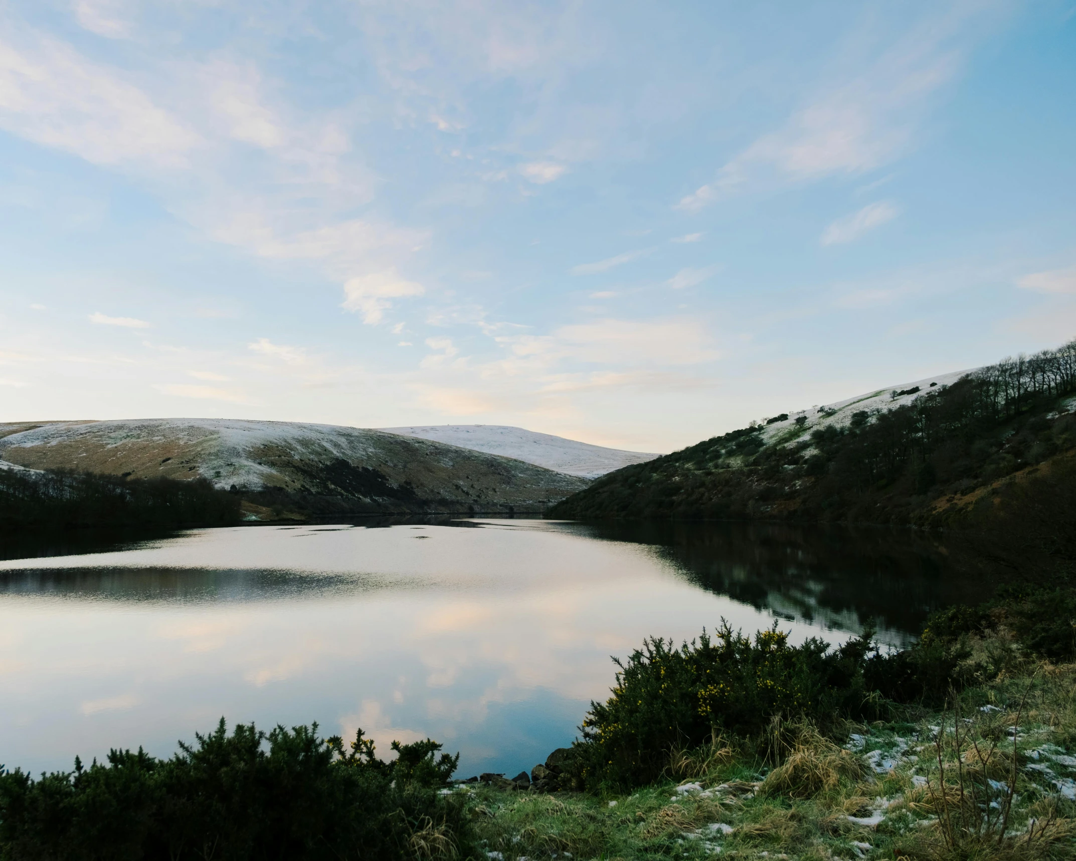 a lake surrounded by a lush green forest