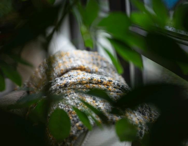 a throw made of material under a leafy tree