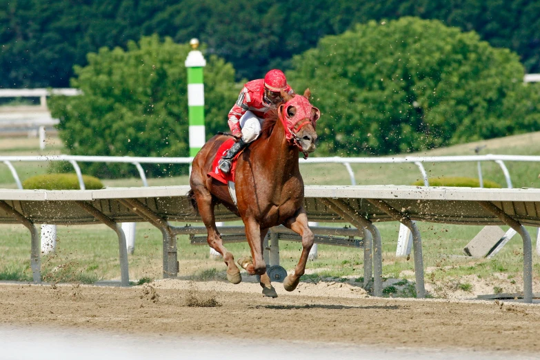a horse running on a track next to a guard rail