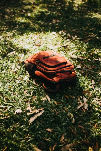 the baseball glove is laying in the grass