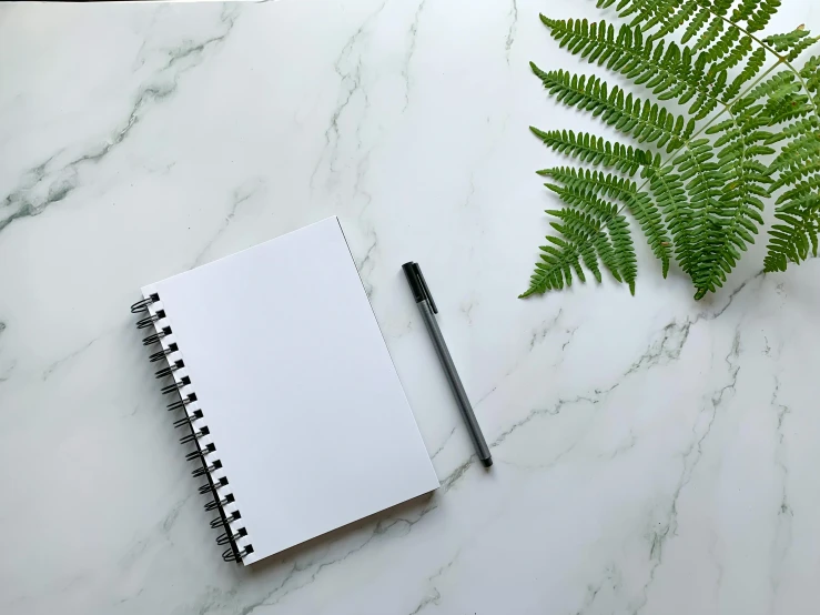 a table with a green fern and pen