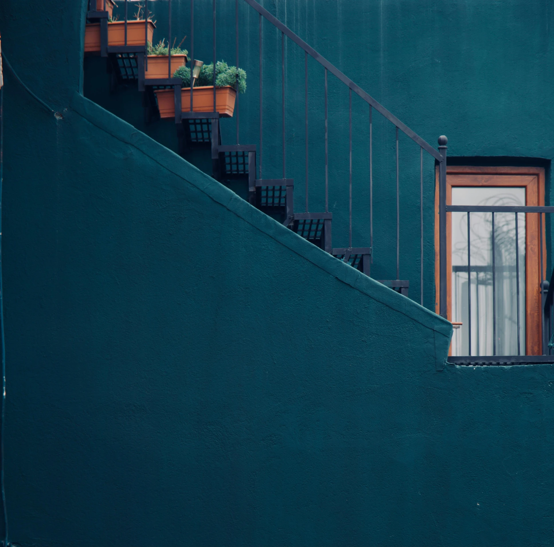 a cat is standing next to a door with windows