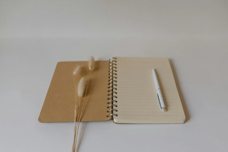 the journal is next to a fountain pen