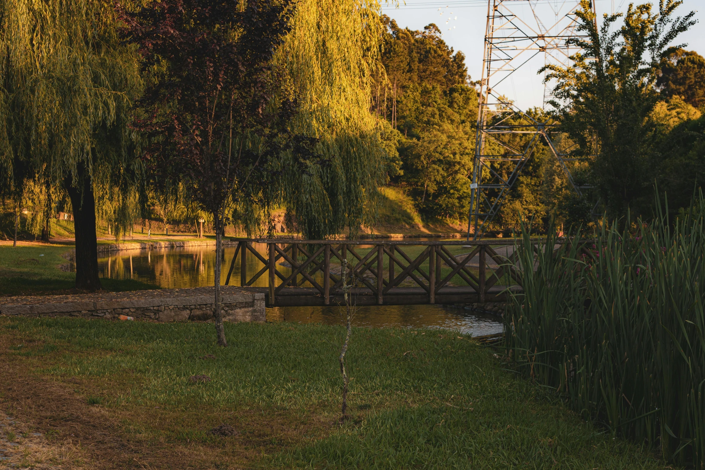 a footbridge in the middle of a forest by the water