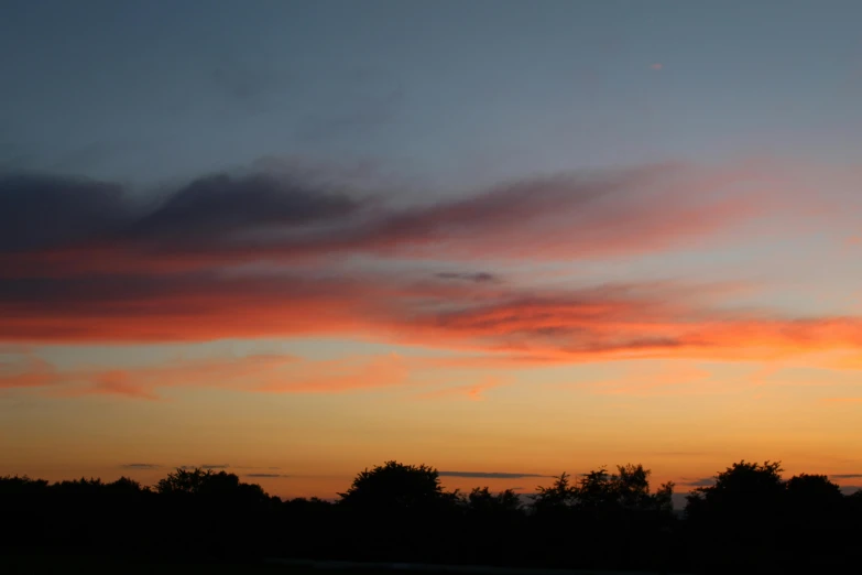 sunset with red clouds and trees against a blue sky