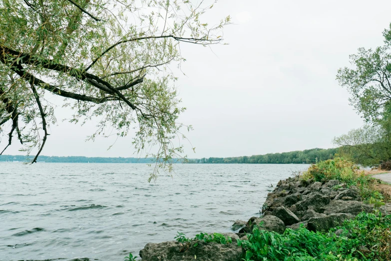 a large body of water with some trees