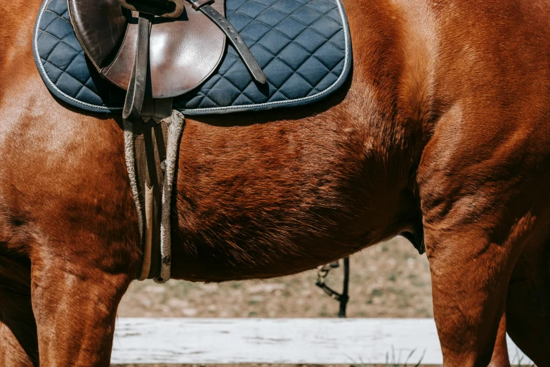 a saddle is attached to the back of a horse