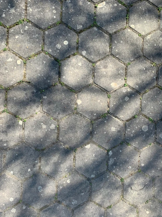 close up image of hexagonal cement and grass with snow on it