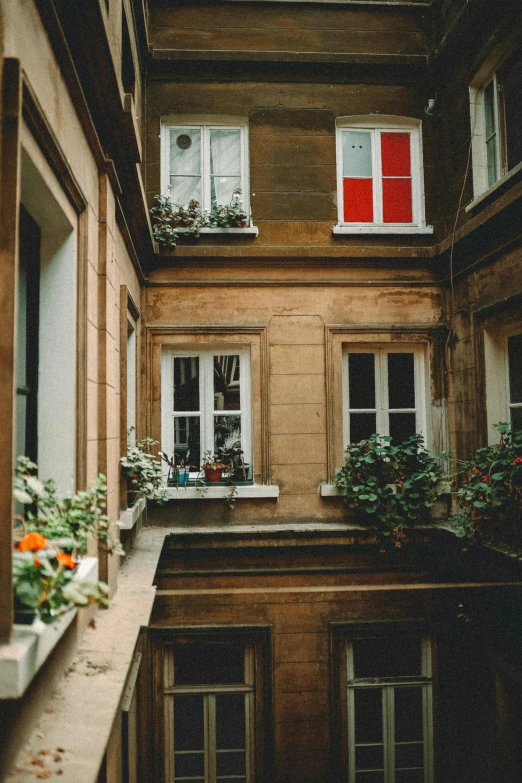 a window view of a very tall building and its flowers