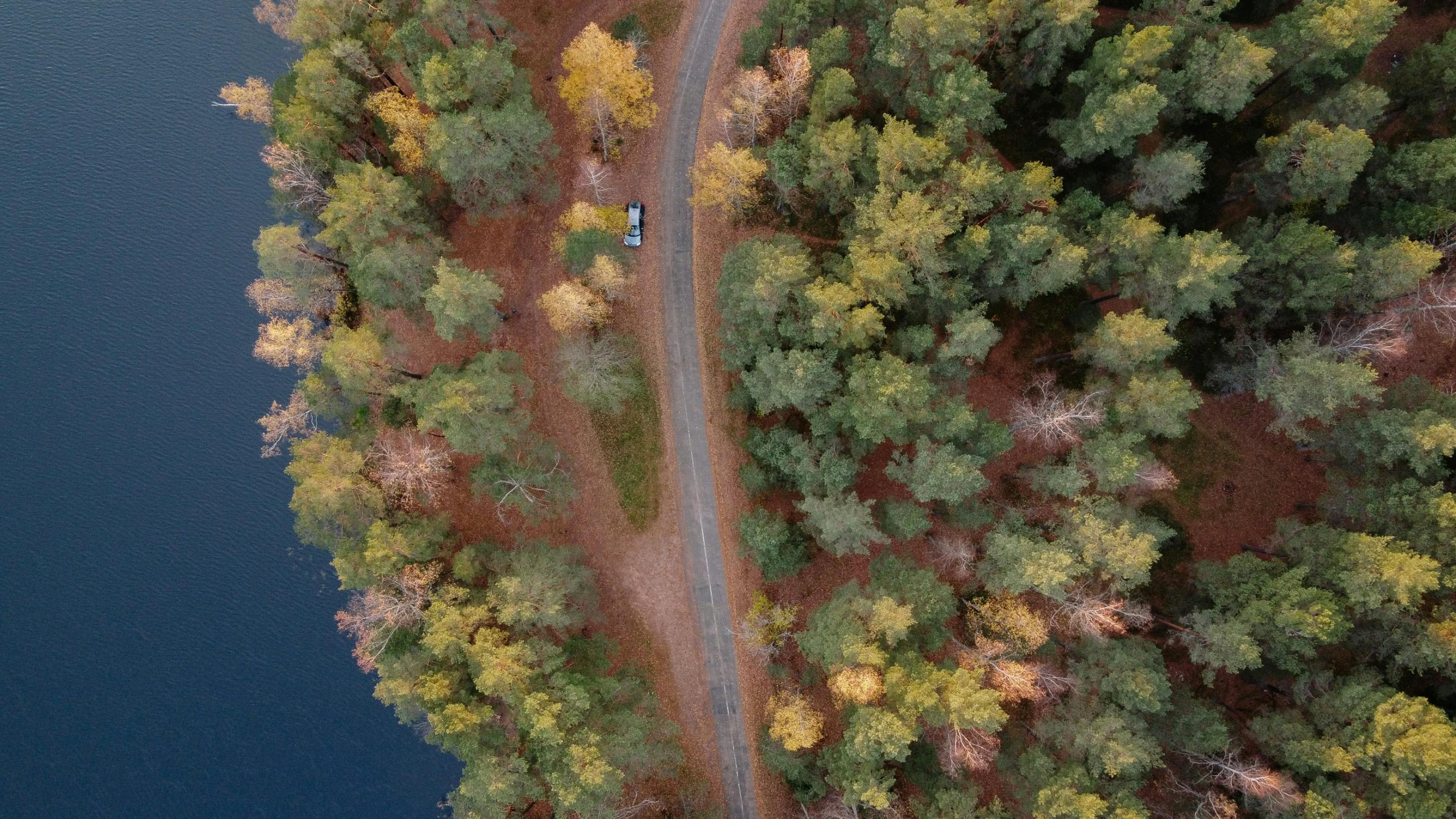 an aerial view of a road and a body of water
