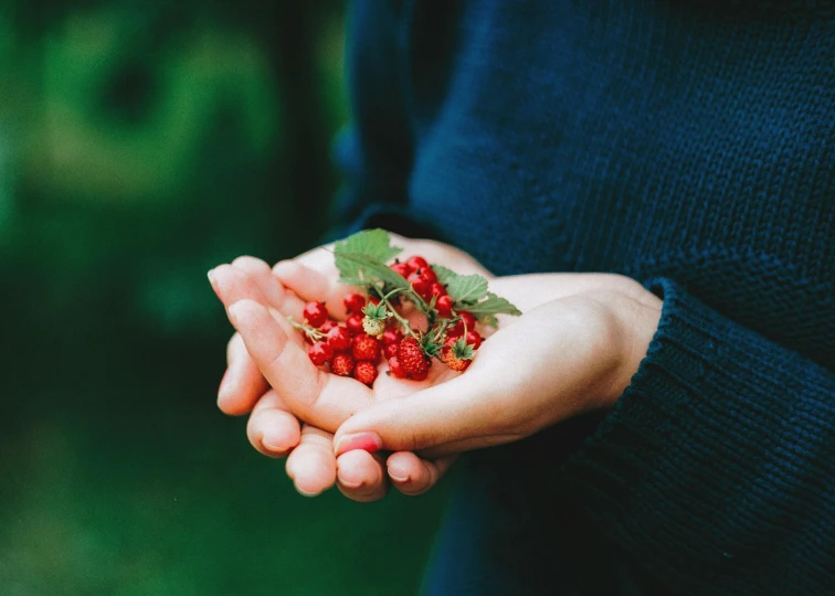 someone holding berries in their hands with green leaves