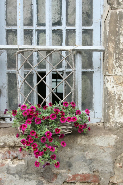 this is an old window with some flowers