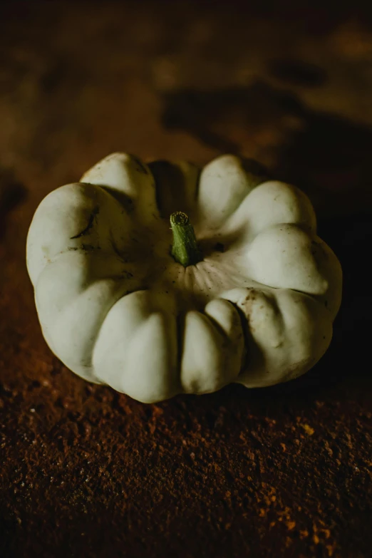 this is a white and black squash on a dark surface