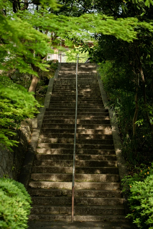 there are many steps with a red handrail on each