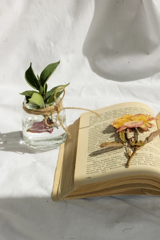 a book and a vase with plants inside are laying on the white sheet