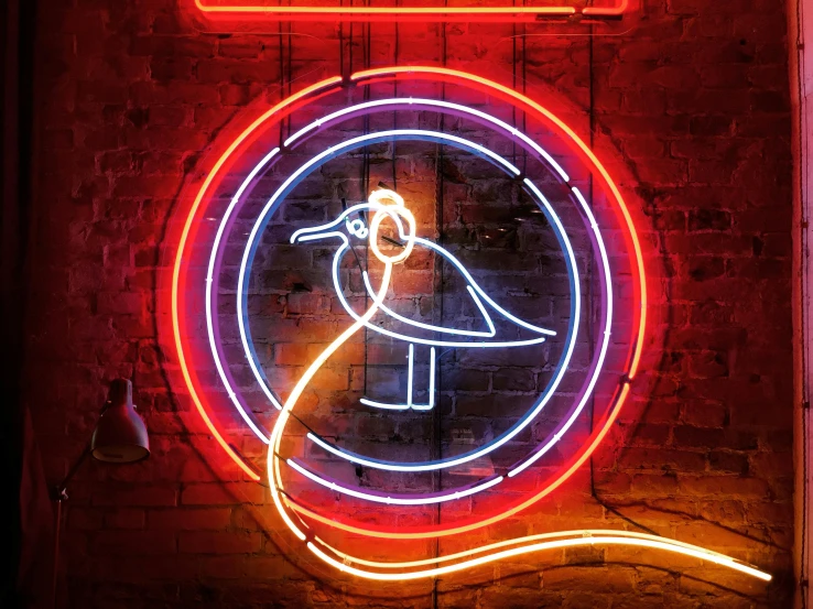 an illuminated neon bird is on display