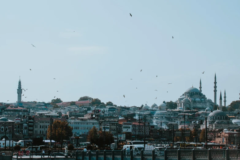 several pigeons are flying in the air over some houses