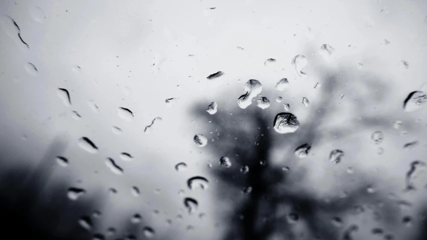 the rain is on the glass and the plants are in front of it