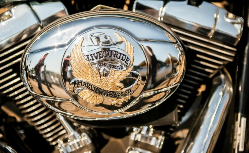 this is a view of the emblem of a motorcycle