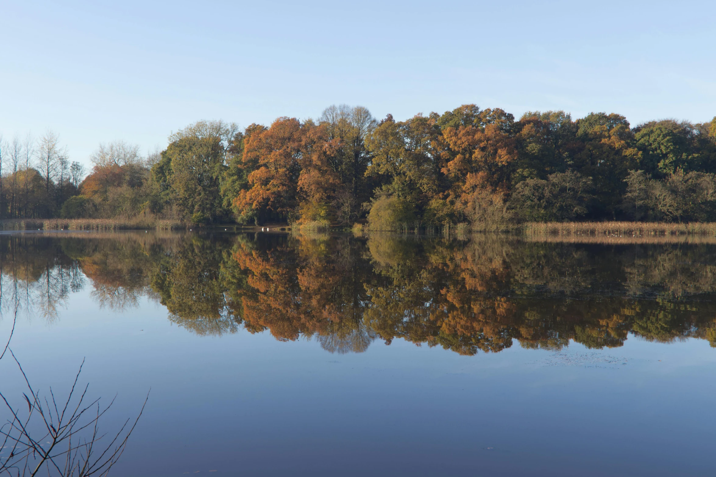 trees are shown near the edge of the water