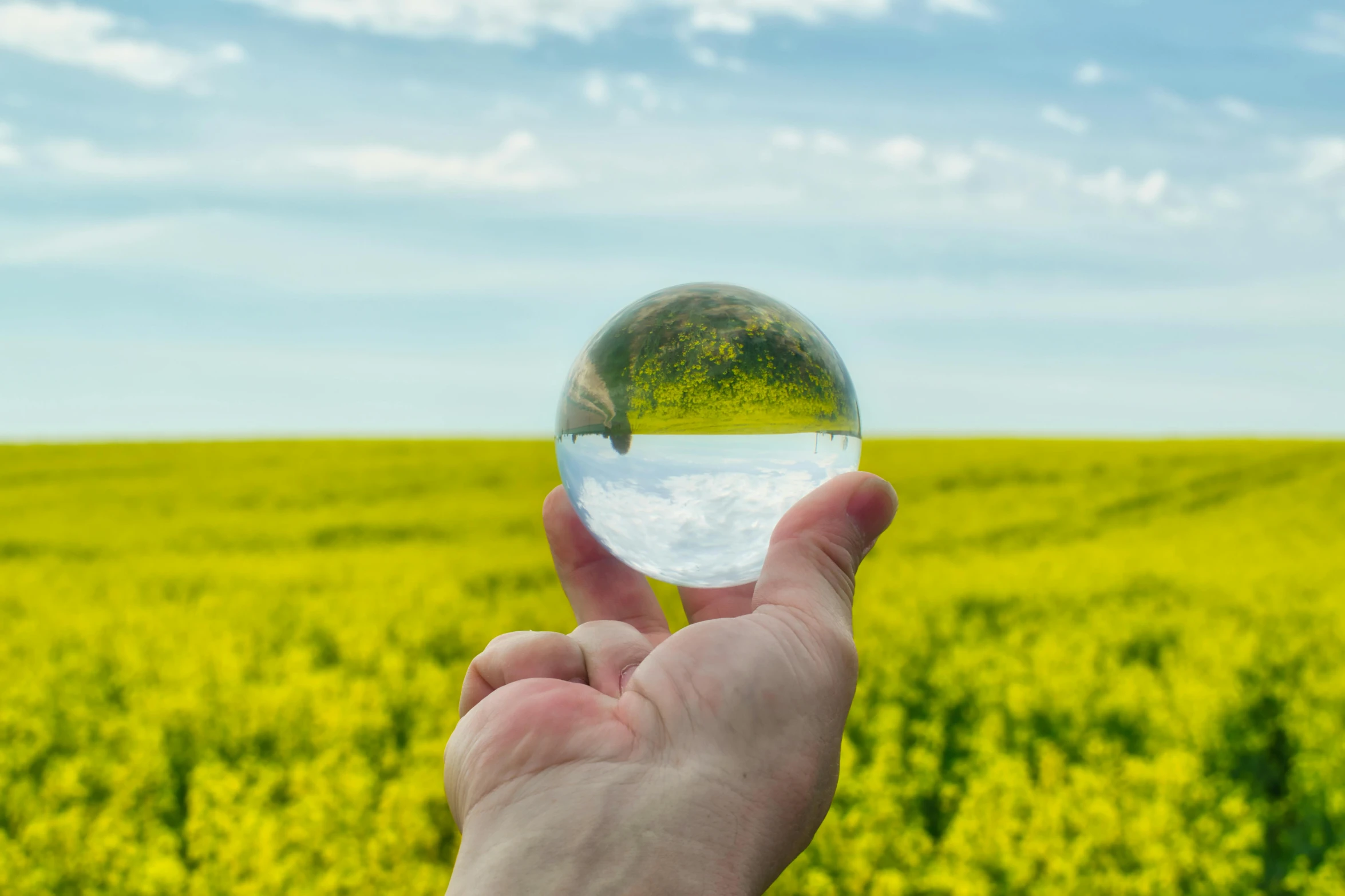 a hand holding a small sphere in front of a green field