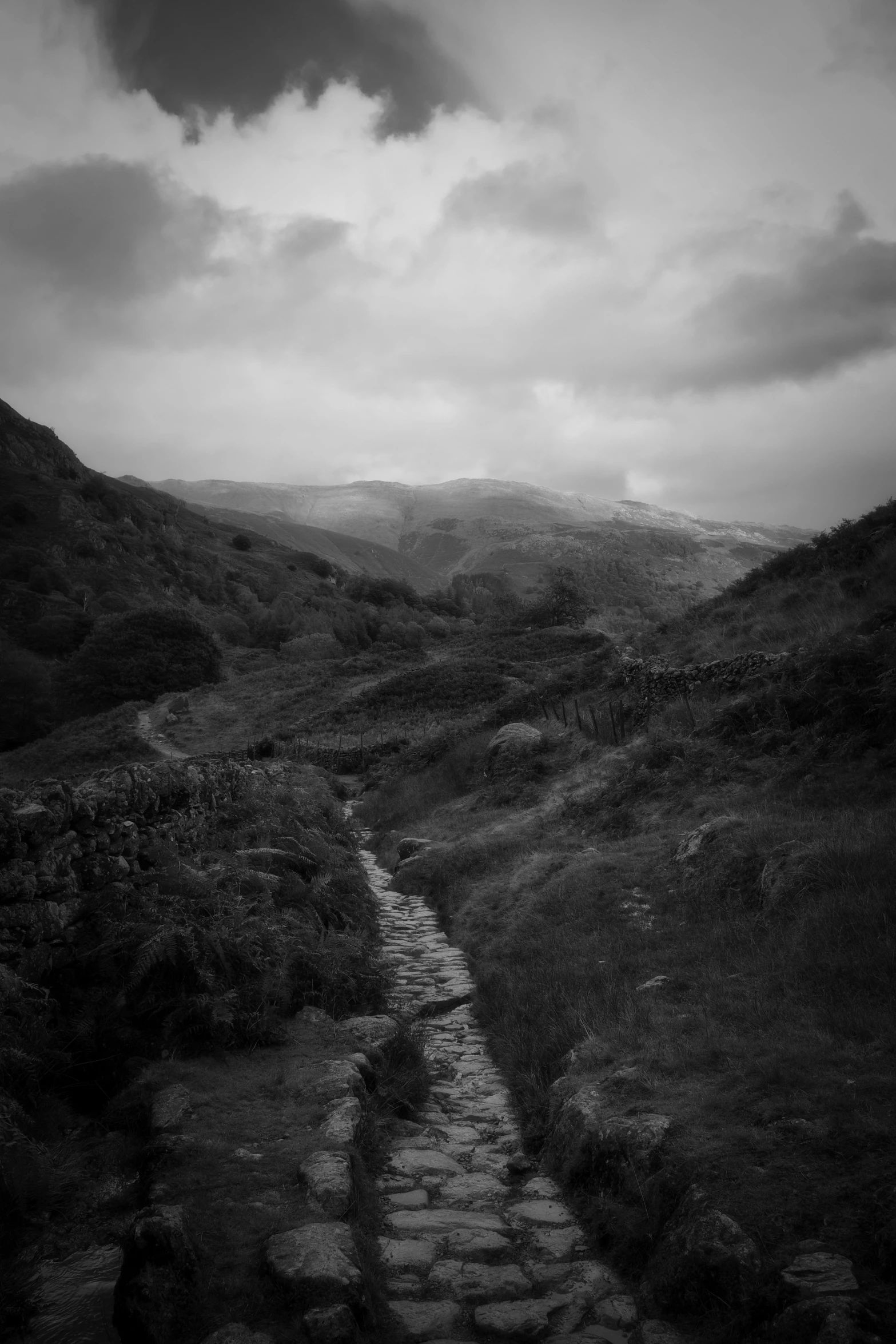 stone path winding up hill in rain covered area