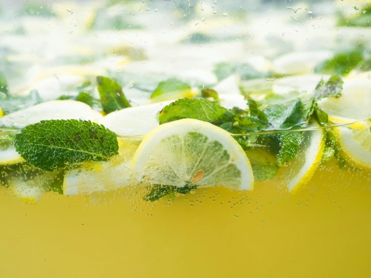 several slices of lemon and mint are in the water