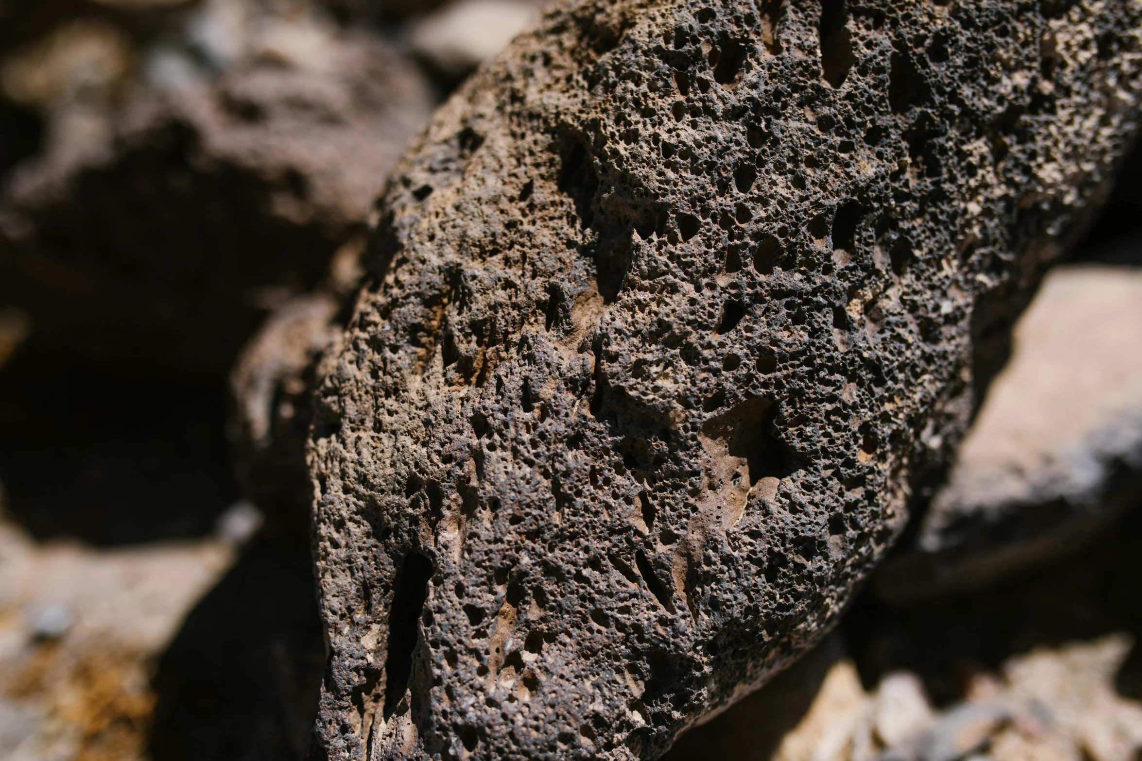 a close up view of a piece of rock