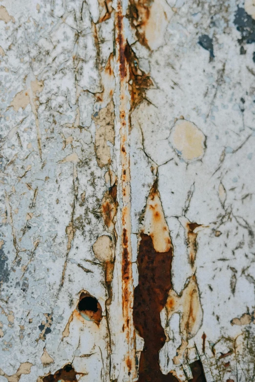 a rusted and ed wall with some light brown patches on it