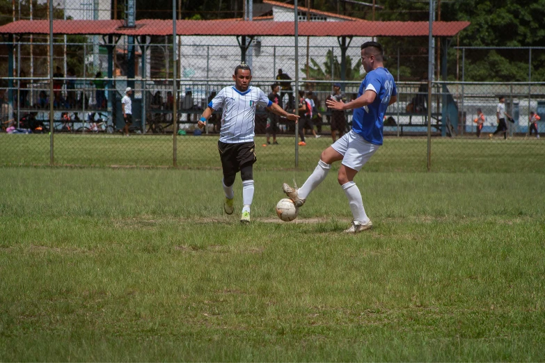 soccer players playing soccer on the field during a match
