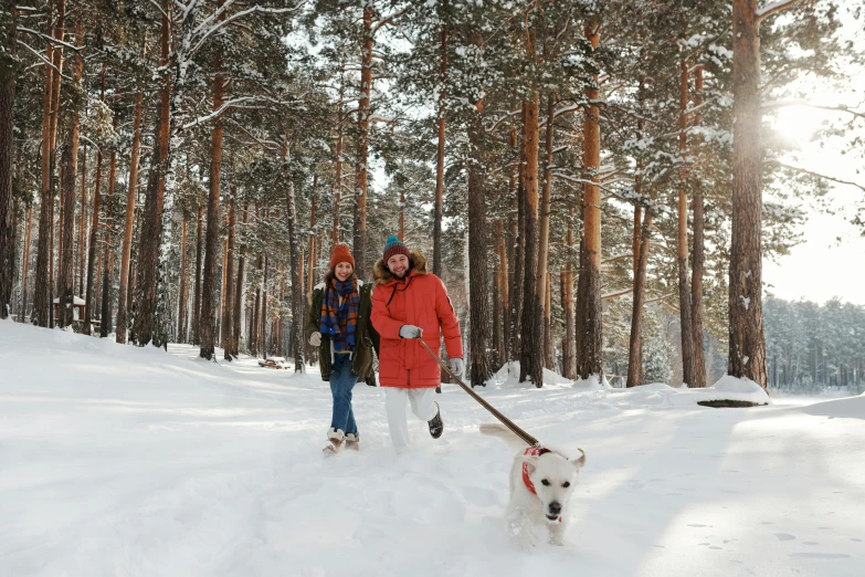 a man and woman walking their dog through the snow