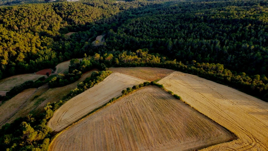 a view over a farm land and forest