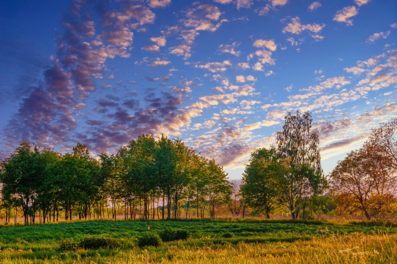 a field with a sky filled with clouds