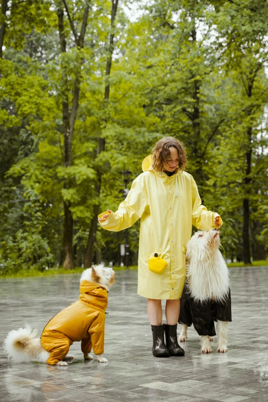 woman in raincoat with small dogs walking on pavement