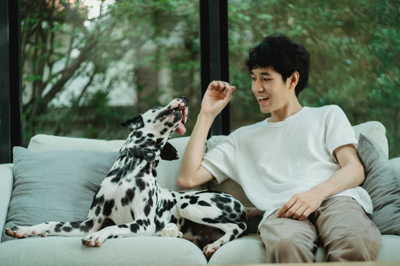 a dog is sitting on the couch petting a man