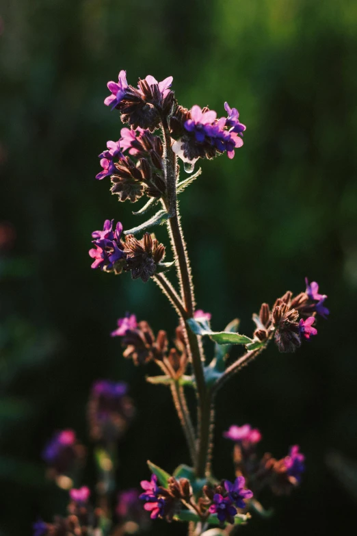 an area with some plants in the background