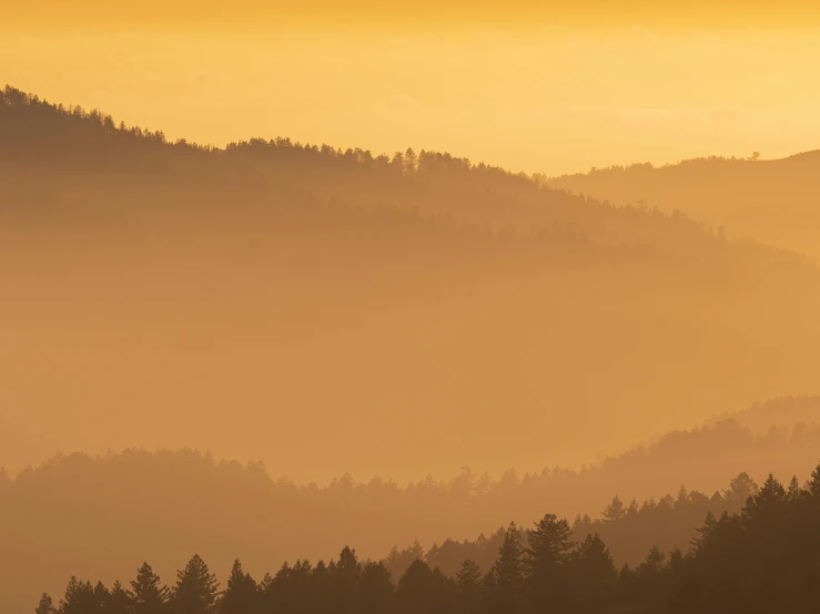 mountain with a fog and tree line in the distance