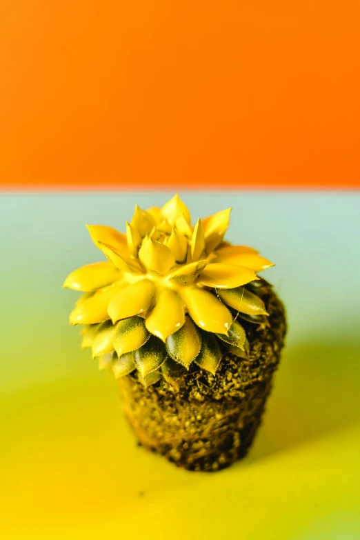 a yellow flower on top of a green pot