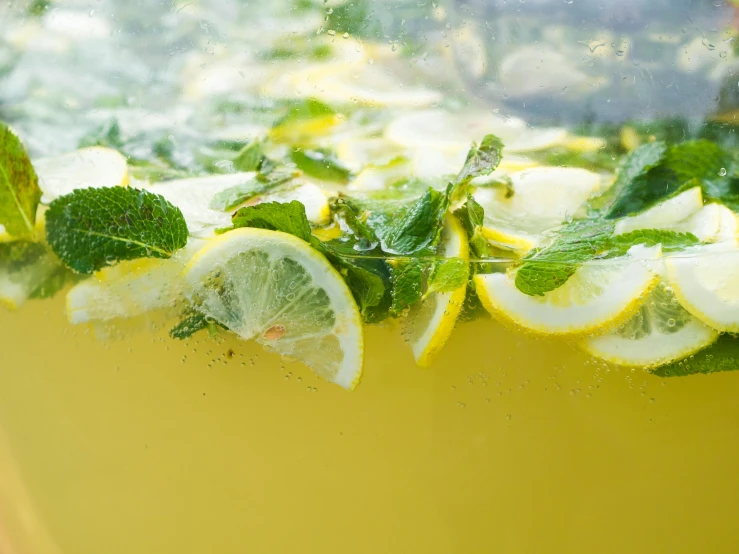 lemon slices are on the inside of a pitcher of water