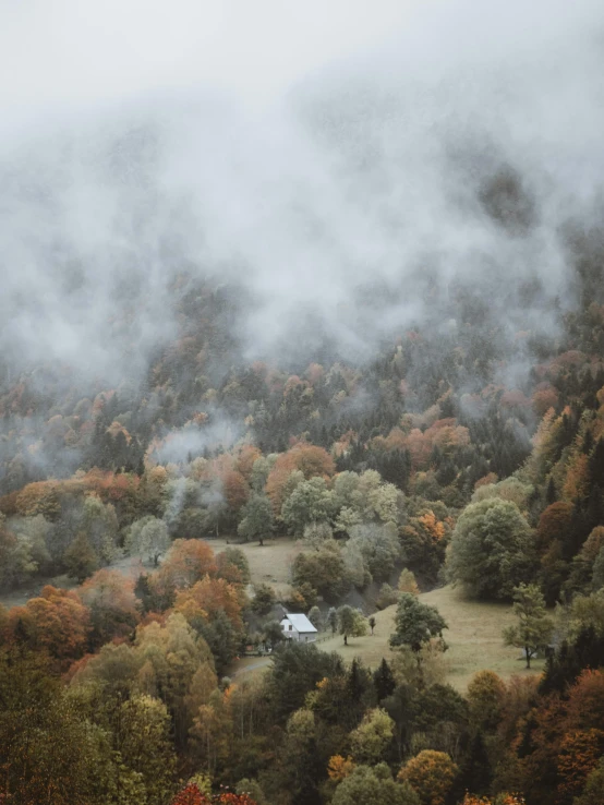 an image of mountains covered with fog and trees