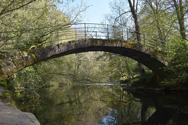 a bridge in a forest over a body of water