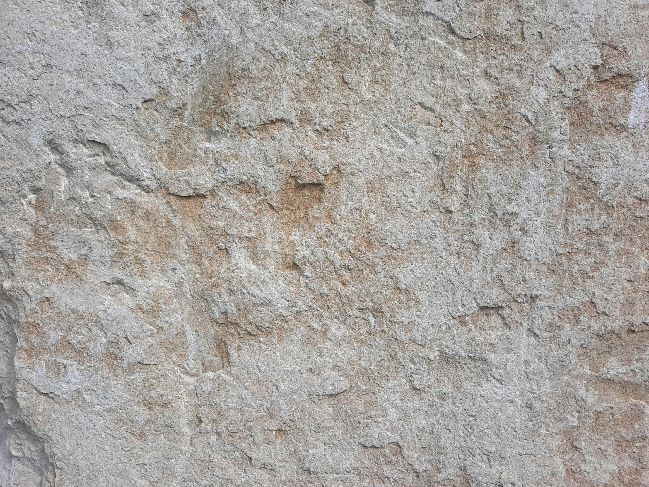 a stone wall that looks like it has a bird standing on the ground