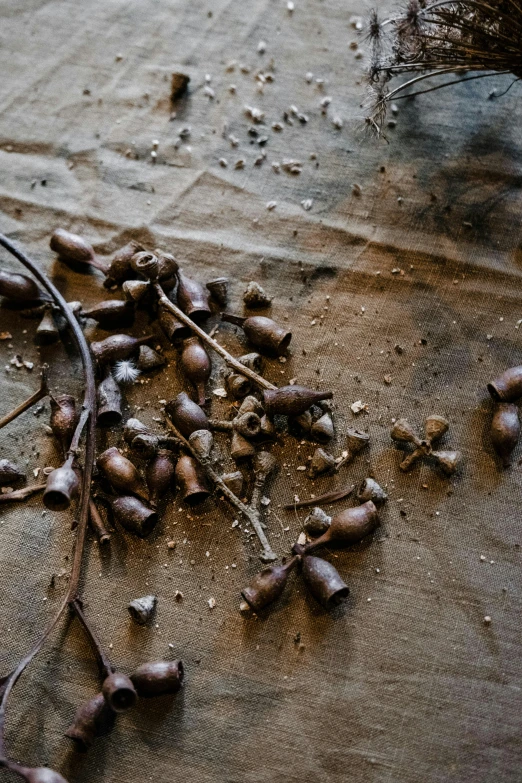 a pile of nuts and some wire on the ground