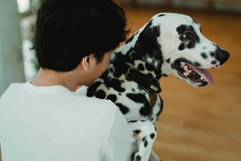 a dog sitting on the back of someone's shoulder