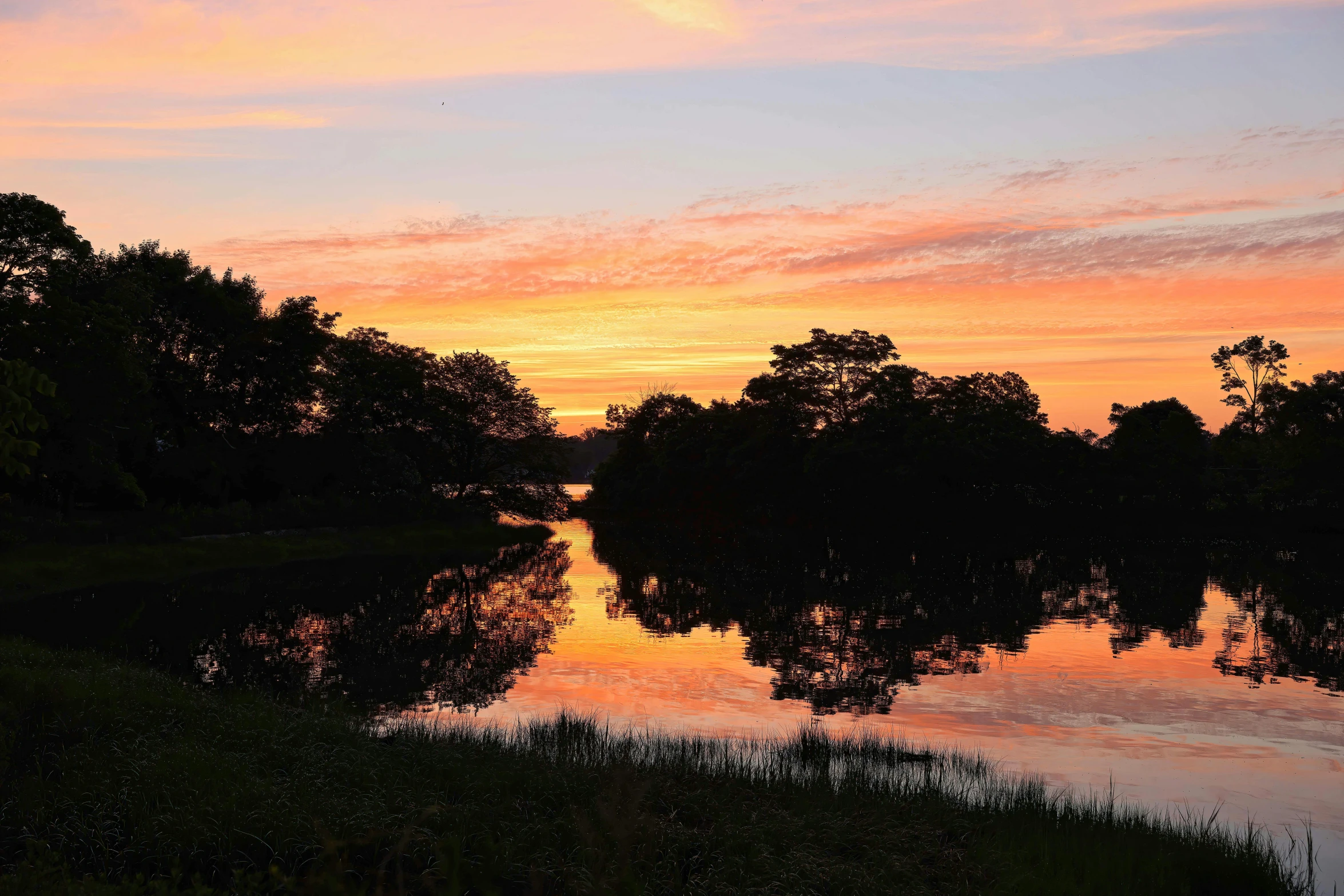 a sunset at the edge of a swamp