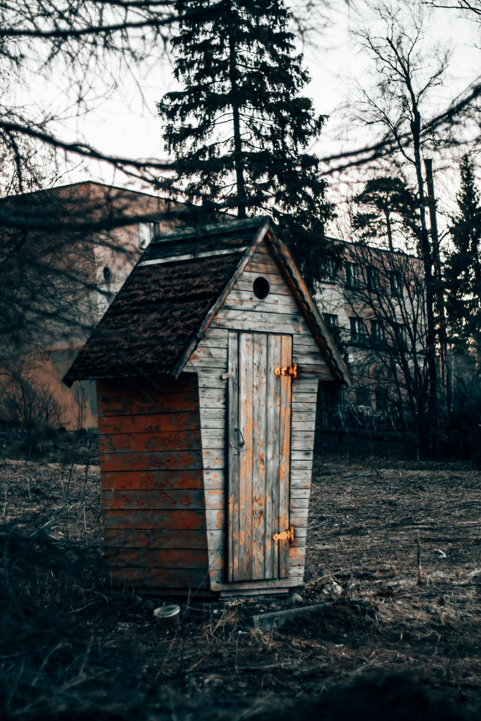 an outhouse in the woods with its door open