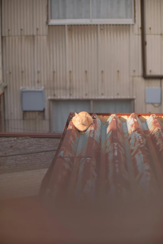 an old, rusted metal roof with a hat hanging from the bottom