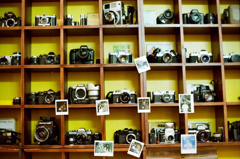 many cameras are sitting on shelves in a store